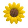 Tamancos de Flor para Plantas Charms de Sapato de Flor Acessórios para Sapato de Praia Jardim em Estoque