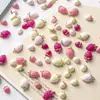 Accesorios de Arte para Uñas de Fresa Crema Dibujos Animados Nuevo Estéreo Rosa Claro Pequeña Fresa Fruta Artificial Diamante para Uñas Desgastable