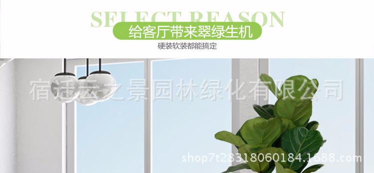 鐞村彾姒曡缁?
