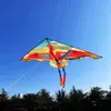 Nuevo cometa de fénix 2025 1.6 metros brisa fácil de volar niños adulto cola larga tiembla con venta al por mayor de fabricantes