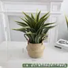 Simulação Planta Verde Bonsai Sisal Folha Grande Gladíolo Planta do Deserto Tropical Janela Paisagismo Decoração Planta Artificial Ponto