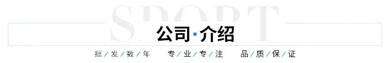 公司介绍