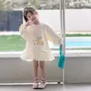 Vestido de Outono para Meninas 2026 Nova Moda Vestido Princesa Outono para Bebê Moletom Infantil Saia de Tule