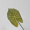 Flor Artificial de Hoja de Lirio de Calas Individual 3D para Decoración de Bodas, Flor Artificial de Planta Verde para Paisajismo, Decoración de Muebles de Hotel, Venta al por Mayor de Flores Artificiales