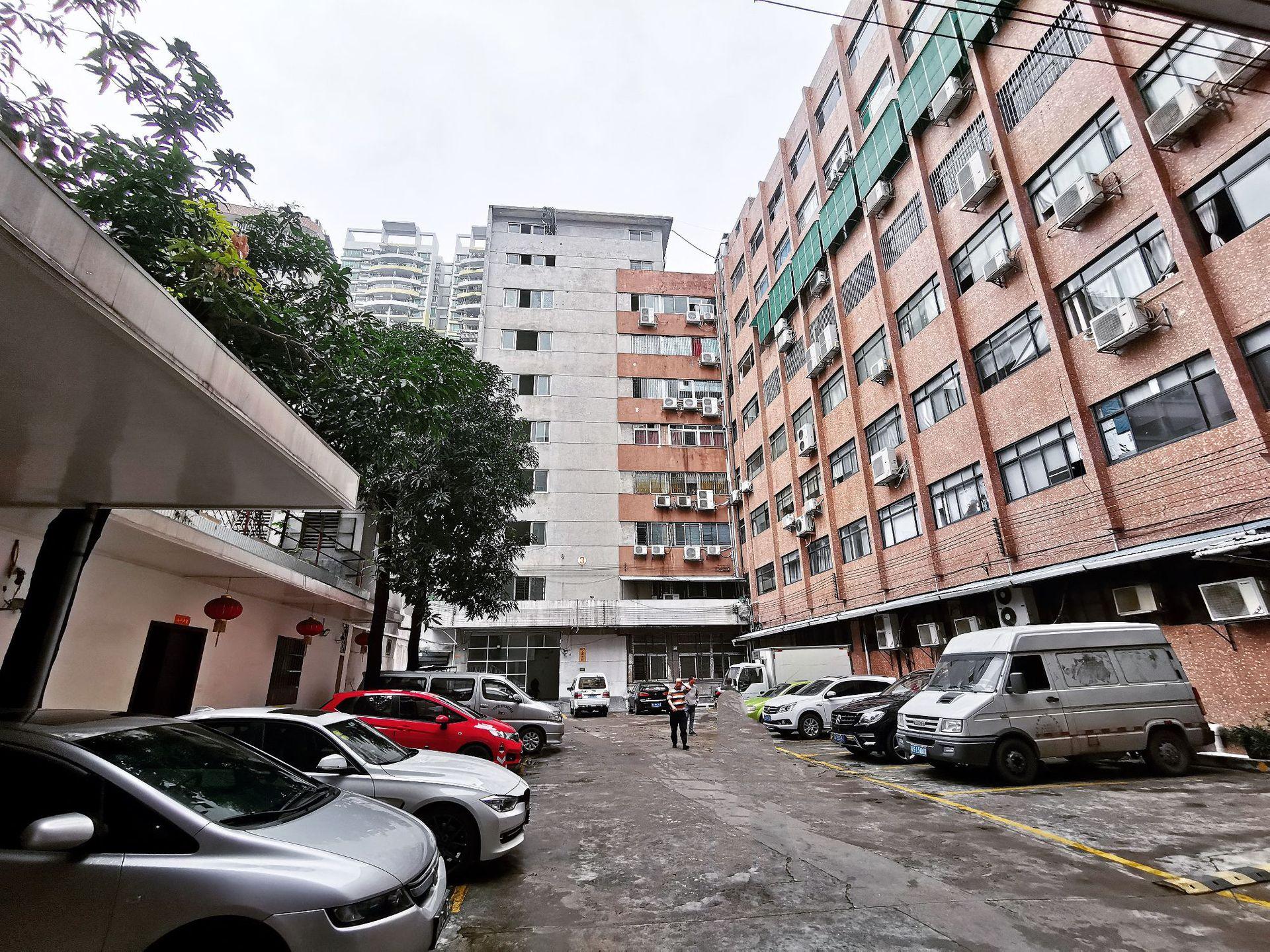 151555134883_.pic_hd