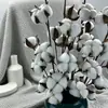 Venta al por mayor del fabricante Flores secas de algodón para la cabeza Inserciones de simulación de algodón Accesorios para el hogar Decoraciones de interiores Flor de algodón inmortal