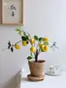 Ramas frutales de limonero, plantas en maceta con fruta fresca, flores artificiales para sala de estar, mueble de TV, mesa de comedor, adornos decorativos