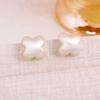 Aretes Geométricos Escarchados Plata Cepillada Estilo Moda Europea y Americana Elegantes Modernos Elegantes Lujo Accesible Aretes de Alta Gama para Mujer