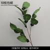 Decoración de Flores Artificiales Verdes Material de Flores de Hoja de Manzana Flor Exterior Planta Verde Hermoso Arreglo Chen Simulación de Hoja de Tortuga Arte Floral para Boda