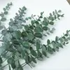 Planta Verde Flor de Simulación Pequeña Fresca Accesorios para Fotos Adornos de Flores Artificiales Estilo Nórdico Decoración Estilo Ins Simulación de Hoja de Eucalipto