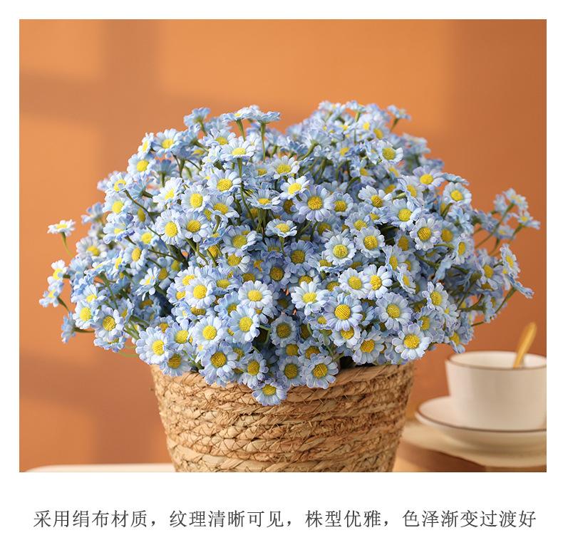 布拉格6枝扎小雏菊_10.jpg