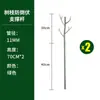 Estacas de Soporte para Jardinería, Varillas de Soporte para Plantas, Modelado de Plantas en Maceta, Marcos de Soporte para Jardín, Fabricante Mayorista de Celosías para Trepar