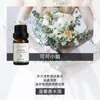 Fabricante de Fuente de Aromaterapia Aceite Esencial de Aromaterapia Soluble en Agua 10 ml Fragancia Vegetal L Difusor Ambientador Máquina de Aromaterapia Aceite Esencial