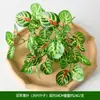 Ventas directas del fabricante: Decoración de pared de planta de césped artificial persa, plantas verdes de hoja perenne, manojos pequeños para decoración de proyectos, plantas verdes artificiales