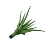 Manojo de Aloe Vera Artificial, Planta Suculenta Falsa Realista, Accesorio para Pared de Plantas Verdes, Decoración de Ventana de Exhibición para el Hogar, Planta Verde Artificial