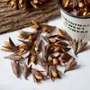 Materiais de Flores Secas Galhos Bolotas Pinhas Algodão Vagens de Lótus Jardim de Infância Artesanato Velas Aromáticas Fatias Decoração Adereços para Fotos