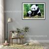 Pintura de Diamantes 5D Serie de Animales Familia de Pandas Punto de Cruz Diamante Completo Pintura Decorativa Diamante de Cristal Exclusivamente para Comercio Exterior