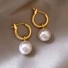 Aretes de Perlas Diseño Nicho para Mujer Aretes de Alta Gama 2025 Nuevos Aretes Populares Aretes de Lujo Accesible Aretes Únicos
