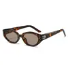 Gafas de Sol Retro para Mujer Populares en Internet Ojo de Gato Sombrilla de Alto Nivel Gafas de Sol Anti-UV para Hombre Modernas Versátiles Lisas