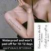Hedonismo Transfronteiriço Palavra Inglesa Personalizada Adesivos de Tatuagem de Ervas à Prova d'Água e Suor Duradouros Não Refletivos Braço Avançado