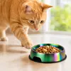 Utensílios para Comida de Pet, Antiderrapante e Anti-Tombamento, Tigela de Aço Inoxidável para Gatos, Fonte de Água para Cães Pequenos, Novos Suprimentos para Pets
