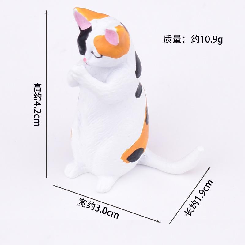 祈福三花猫