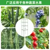 Jaula Cuadrada para Tomates Soporte de Fibra de Vidrio para Planta de Tomate Torre para Plantas Estaca Rejilla de Enrejado para Pepino