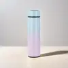 Taza Inteligente de Gran Capacidad con Pantalla de Temperatura para el Hogar, Termo de Acero Inoxidable 304 con Gradiente, Taza Recta Portátil para Exteriores