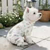 PETCIRCLE Círculo Pet Novos Produtos Outono/Inverno 2026: Roupas de Casa Fofas e Macias para Cães e Gatos Pequenos, Em Estoque para Atacado