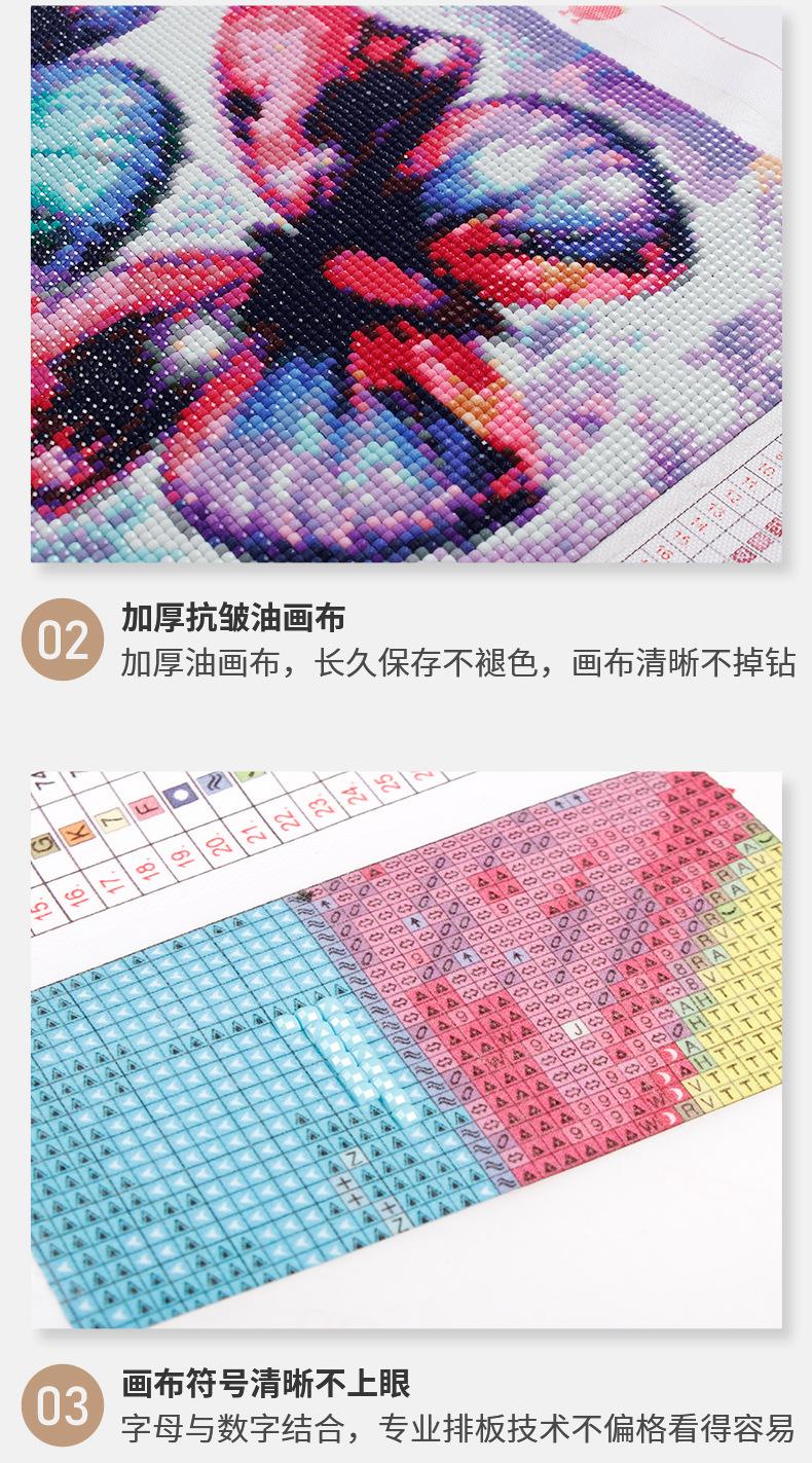 未标题-1_06.jpg