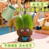 Una Planta Pequeña en Maceta Que Florece al Regarla sobre el Cabello de una Muñeca de Cabello Largo, Adecuada para la Observación del Crecimiento de Plantas en Jardín de Infancia, Fácil de Cuidar y Mantener por Niños