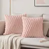Funda de cojín para sofá de sala de estar transfronteriza, terciopelo de tortuga de color liso, cojín de cama de dormitorio tridimensional, almohada lumbar, una pieza envío directo