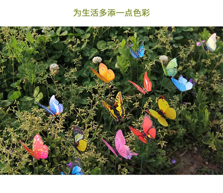 色系单层插扦_02.jpg