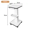 Carrinho Atacadista de Comércio Exterior para Equipamentos de Beleza Transfronteiriços, Carrinho Dedicado para Salão de Beleza, Carrinho de Ferramentas, Carrinho de Plataforma Plana, Prateleira de Armazenamento
