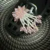 Acessórios de Flor de Sapato de Cristal Resistentes Estilo Coreano com Lantejoulas Bordadas, Franjas de Cristal Exquisite de Estilo Leve de Luxo