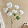 Flores Artificiales de Peonía de 6 Cabezas Estilo Europeo para Decoración de Mesa de Comedor de Sala de Estar en Casa, Flores de Peonía Falsas para Arreglos Florales de Boda y Hotel