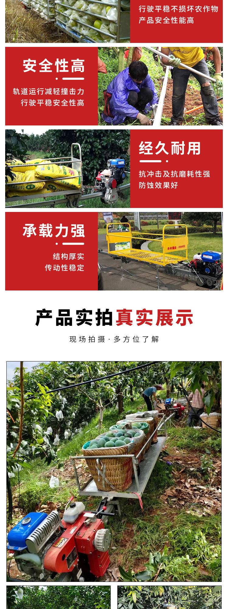 0421单轨运输车5