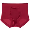 Pantaletas sin costuras de alta elasticidad y acabado brillante para mujer, transpirables, control ligero del abdomen, calzones para tallas grandes de mujer, malla transparente de deseo puro