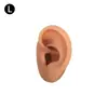 Modelo de Oreja Falsa de Silicona Realista 5D para Práctica y Exhibición, Adecuado para Tatuajes, Perforaciones, Aretes, Pendientes, Audífonos, Acupuntura y Enseñanza de Limpieza de Oídos