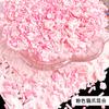 Piezas de Arcilla Blanda Mixtas, Bolas Ruidosas, Pegamento Base para Bolas Hecho a Mano, Materiales de Relleno para Manualidades, Pegamento de Crema Realista, Relleno de Slime Suave