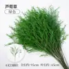 Flores Artificiais Verdes Estilo Floresta para Teto de Salão de Casamento, Folhagem, Fundo de Flores de Seda, Corredor com Arranjo de Flores, Exibição de Flores