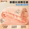 Colcha de Algodão de Xinjiang Classe A Colcha de Inverno Colcha para Dormitório Estudantil Capa de Colcha de Primavera e Outono Colcha de Algodão Dupla Núcleo de Colcha Colcha para Uso em Todas as Estações