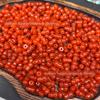 Grânulos soltos de cabaça com furo passante Philippe vermelho 7,5*11 atacado joias artesanais DIY acessórios de cabaça de jade produtos semi-acabados