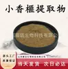 Extrato de Torreya Fragrante Pequena 10:1 Ingrediente de Saúde de Grau Alimentício Torreya Fragrante Pequena Pó Concentrado Extrato de Planta em Estoque com Frete Grátis