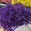 Flores secas de capim cristal preservadas, decoração de flores reais, buquê de flores preservadas feito à mão com vendas diretas da fábrica de Yunnan e frete grátis