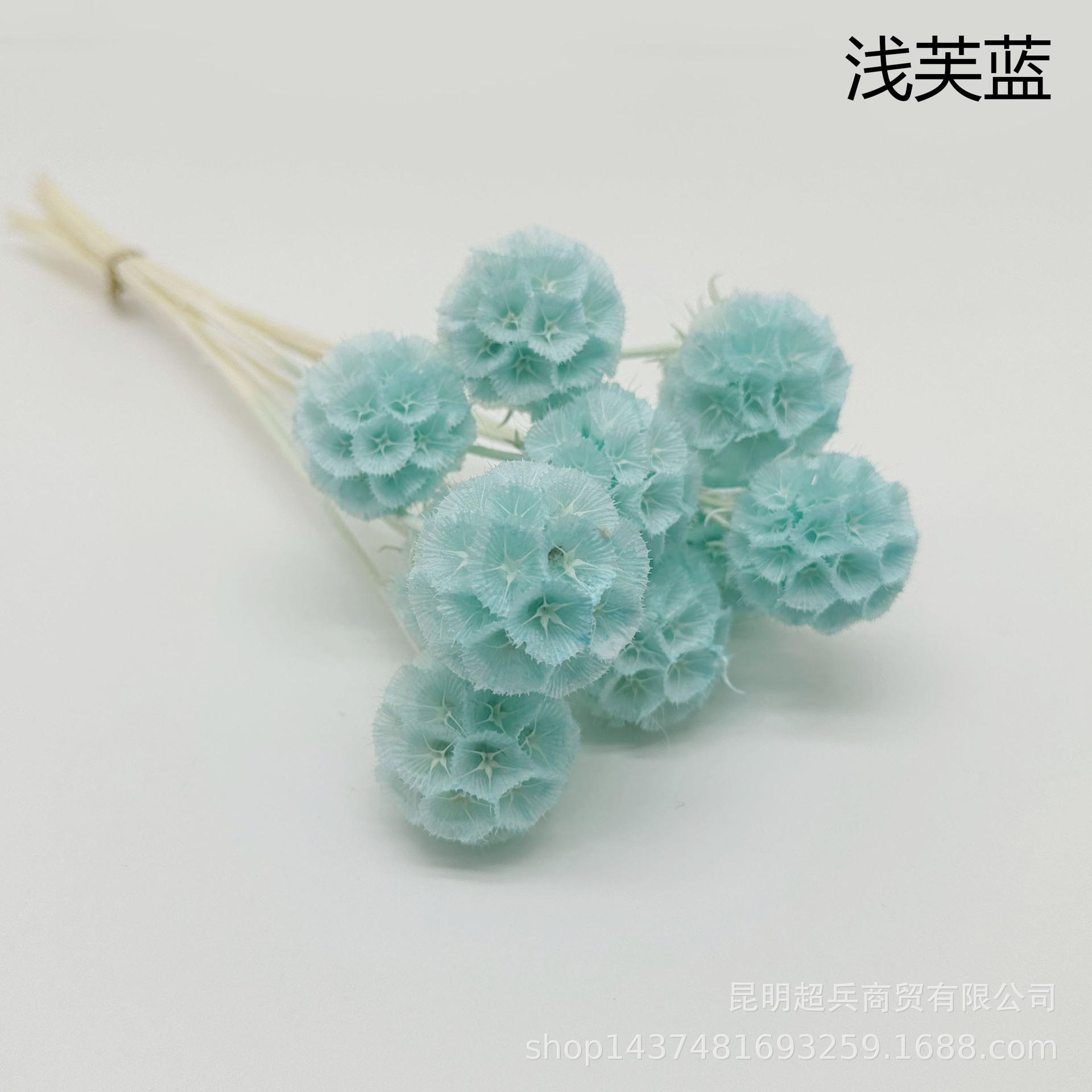 7浅芙蓝.jpg