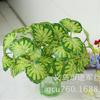 Fábrica atacado simulação planta de plástico flor artificial planta parede material cola sentir folha tartaruga folha traseira folha verde endro