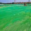 Red Cubresuelo de Obra, Red Cubrepiso Desnudo Antipolvo, Cubierta Antipolvo, Cubresuelo, Cubre Carbón, Red para Arena, Red Cubresuelo Protección al por Mayor