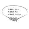 Cadena de cintura de metal con resorte para mujer, sencilla, para vestido de mujer, decoración, cadena de cintura de metal con hebilla de estrella distintiva que combina con todo, moda