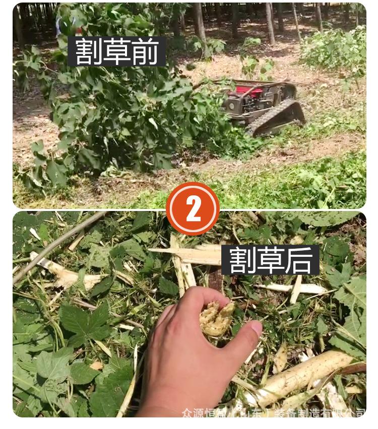 黑狮1000详情页_05.jpg